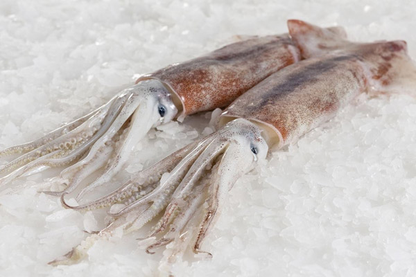 Cách chọn mực tươi ngon