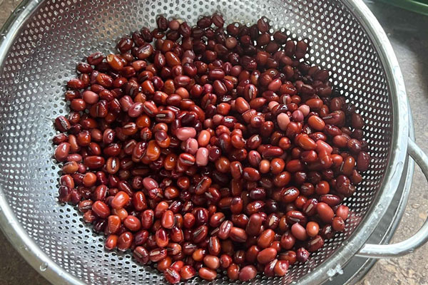 Sơ Chế Đậu Đỏ