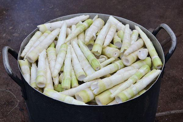 Chần măng qua nước sôi