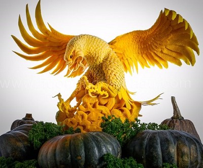 học cắt tỉa