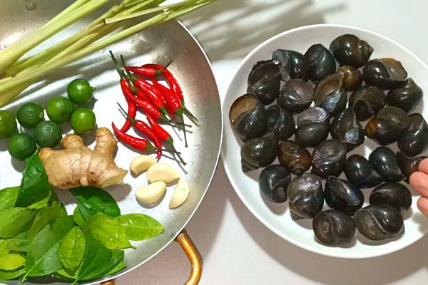 Nguyên liệu chính làm ốc bươu vàng hấp sả 