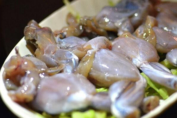 Những lợi ích của thịt ếch