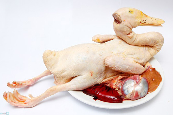 Cách xử lý vịt để không bị tanh