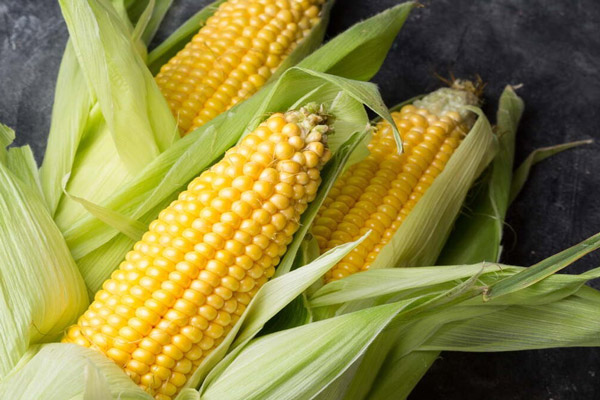 Giá Trị Dinh Dưỡng Của Bắp