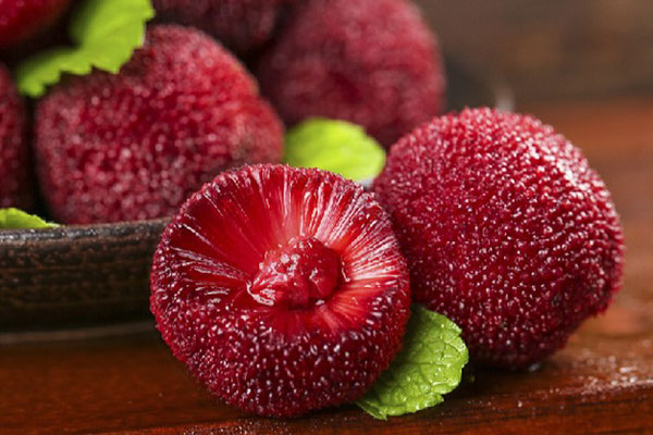 Ăn Nhiều Quả Thanh Mai Có Tốt Không?