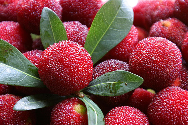 quả thanh mai làm gì ngon