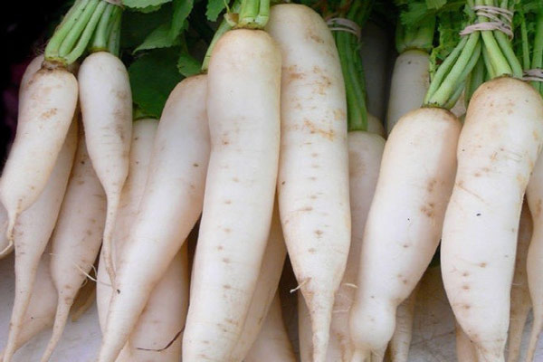 Cách Chọn Củ Cải Trắng