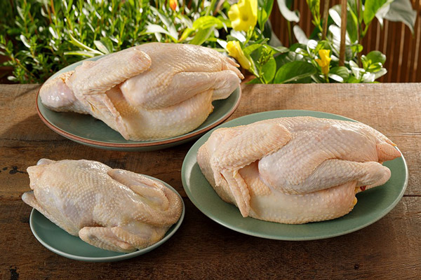 Cách Chọn Gà Ngon Để Hấp Muối